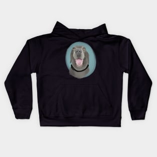 Charcoal Lab :: Canines and Felines Kids Hoodie